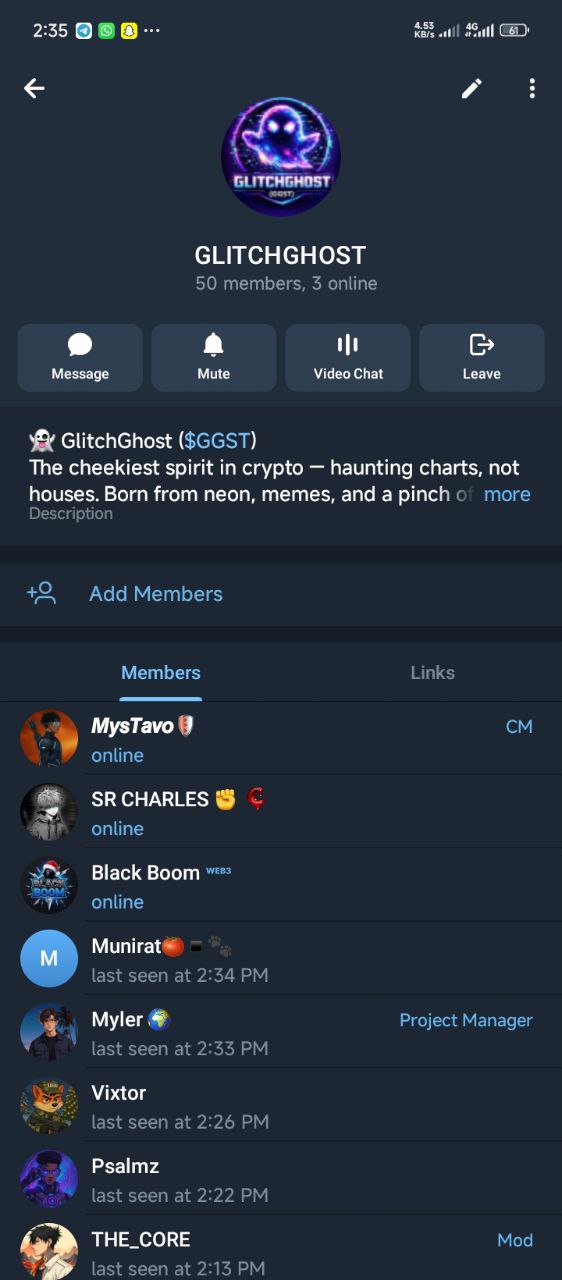 GlitchGhost community — community manager role