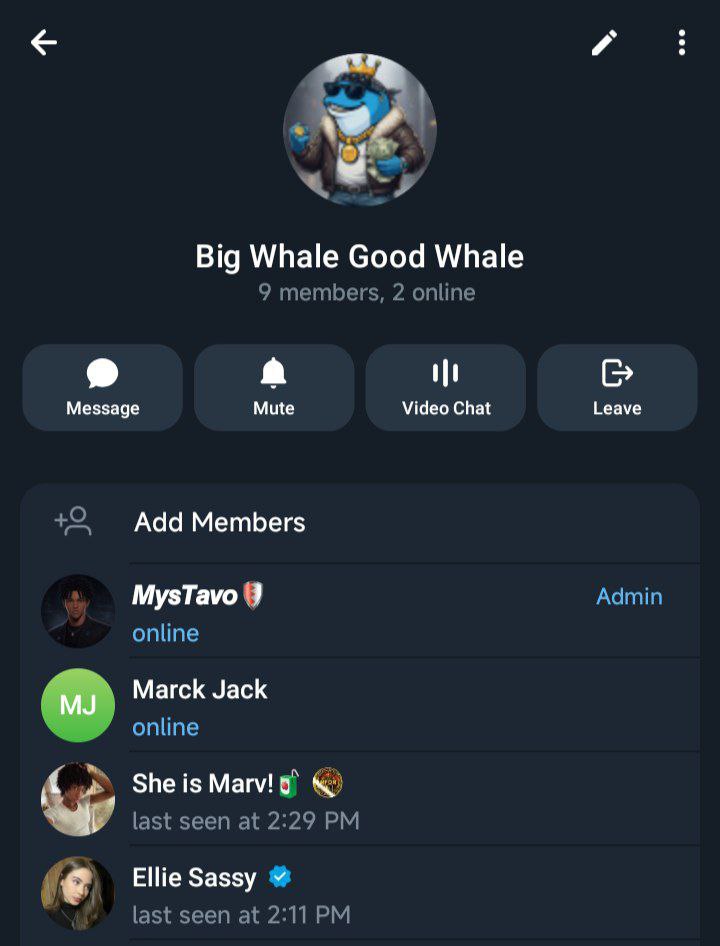 Big Whale Good Whale — admin role