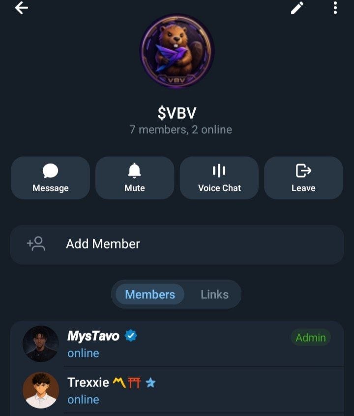 $VBV community — admin role